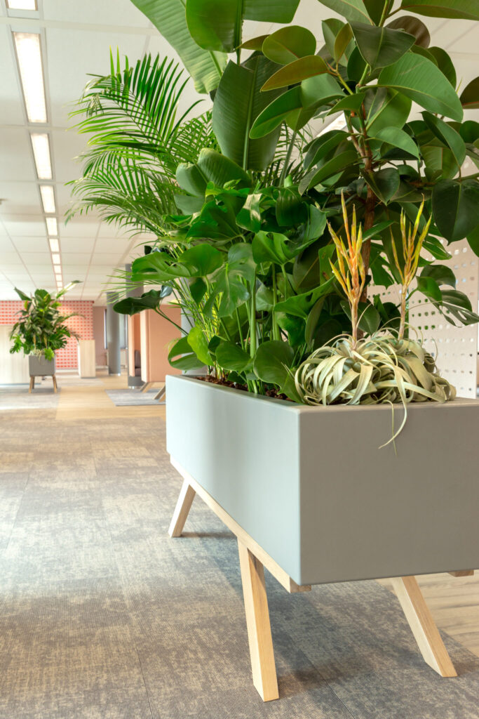 Jeugdzorg Rotterdam planten op kantoor Heering Office Den Haa